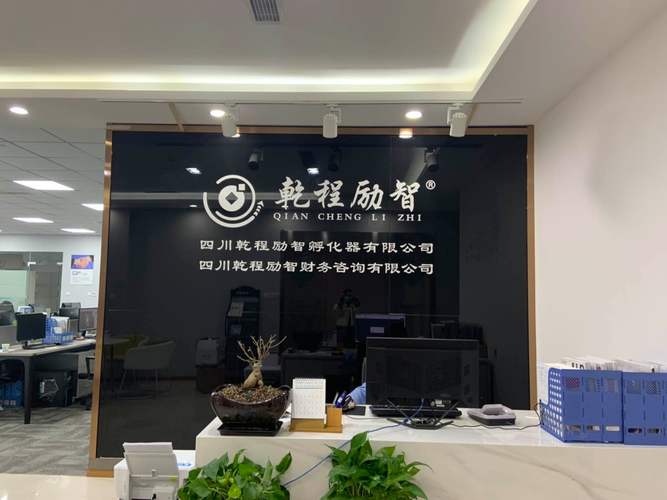 data-lemmaid="1052948">企业登记代理服务;税务咨询